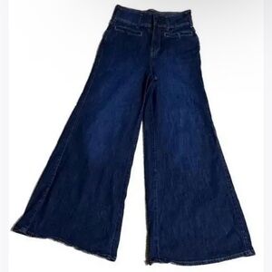 Anthro Pilcro High-Rise Wide-Leg Trouser Jeans